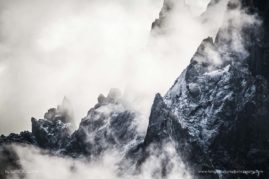 Elise_Julliard_FNP_4