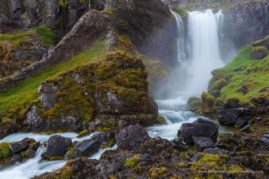 Katarzyna_Gubrynowicz_FNP_1