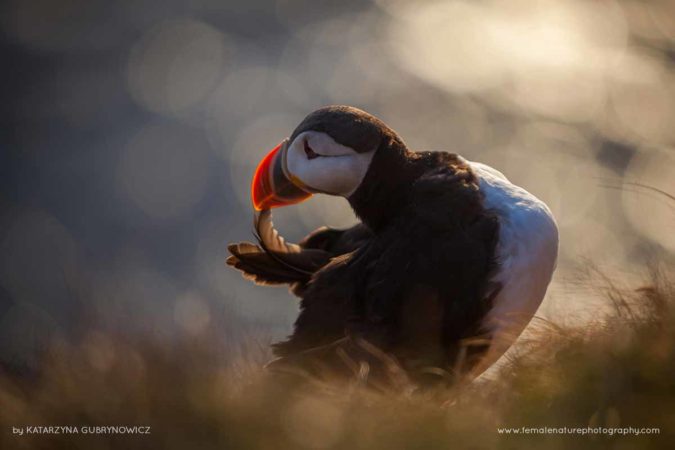 Katarzyna_Gubrynowicz_FNP_2