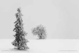 Katarzyna_Gubrynowicz_FNP_4