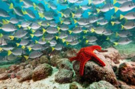 Michele_Westmorland_FNP_3