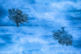 Myriam_Dupouy_FNP_14