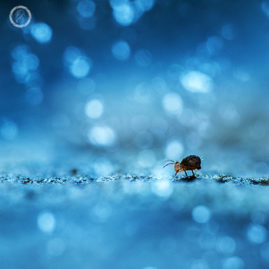 Portfolio carousel 49