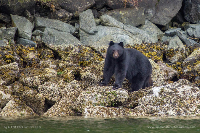 Alena-Ebeling-Schuld-FNP-10