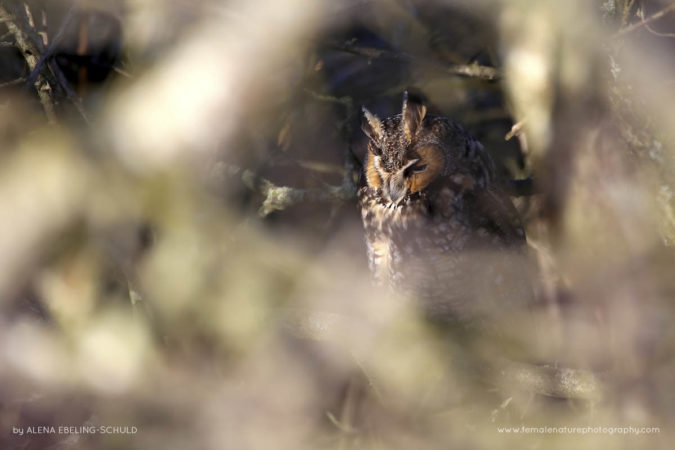 Alena-Ebeling-Schuld-FNP-2