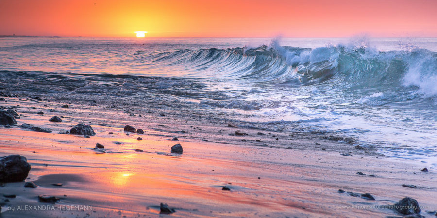 Alexandra-Hegemann-FNP-8