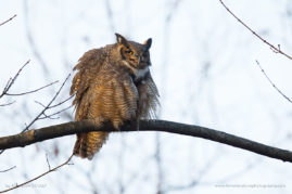 Ashleigh-Scully-FNP-2