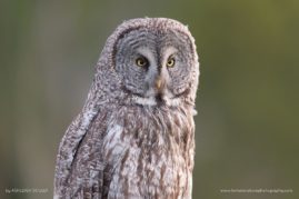 Ashleigh-Scully-FNP-4