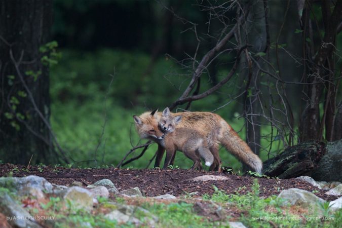 Ashleigh-Scully-FNP-7