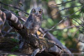 Ashleigh-Scully-FNP-8