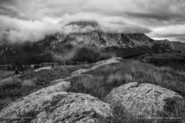 Cristiana-Damianof-FNP-11