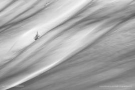 Cristiana-Damianof-FNP-2