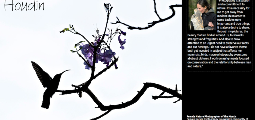 FNPOTM August Nathalie Houdin IG