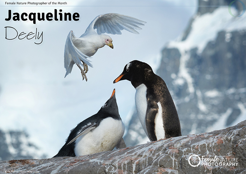 Female Nature Photographer of the Month - Dec 2017 - Jacqueline Deely