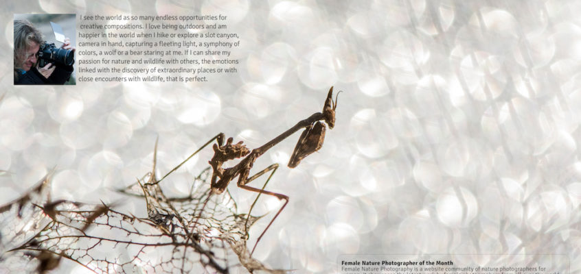 Female nature photographer of the month March 2017 Berengere Yar