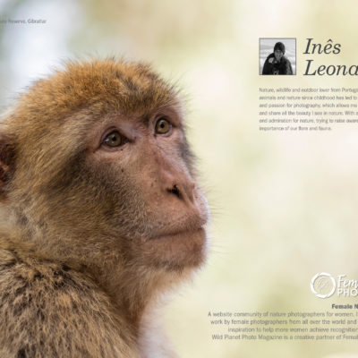 Female Nature Photographer of the month February 2019