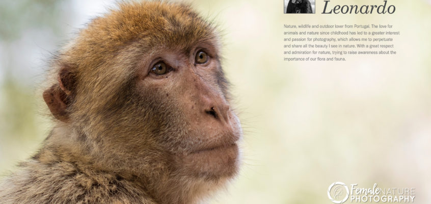 Female Nature Photographer of the month February 2019