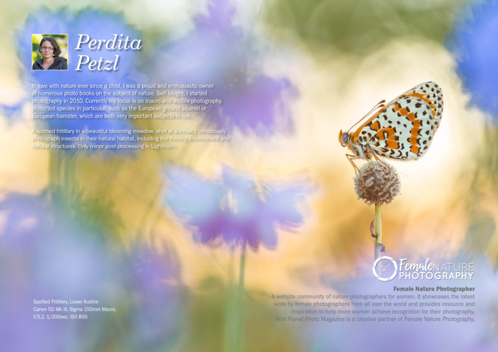 FNPOTM_March Perdita Petzl