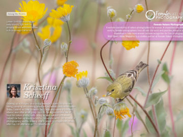 Female Nature Photography May 2019