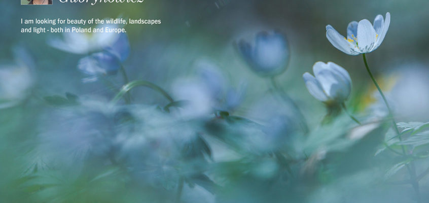 Female Nature Photographer of the Month - May 2018