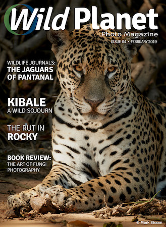 February cover Wild Planet Photo Magazine