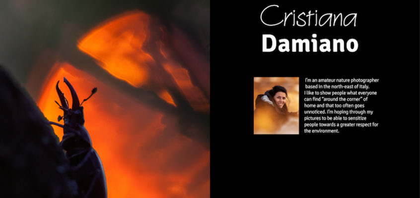 Female Nature Photographer of the Month - Cristiana Damiano-