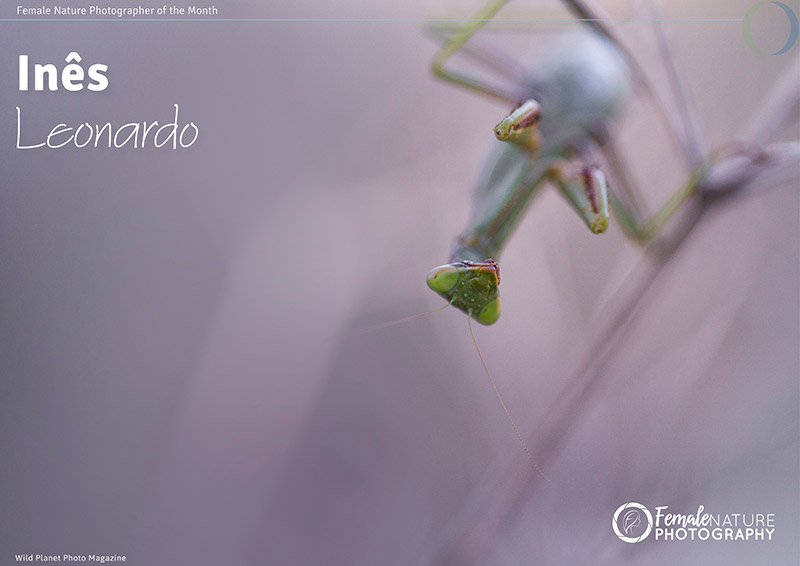 Female Nature Photographer of the Month - Jan 2018 - Ines Leonardo