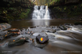 Inger-Vandyke-FNP-11