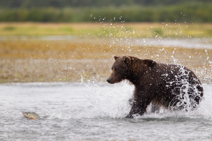 Jaymi-Heimbuch-FNP-3