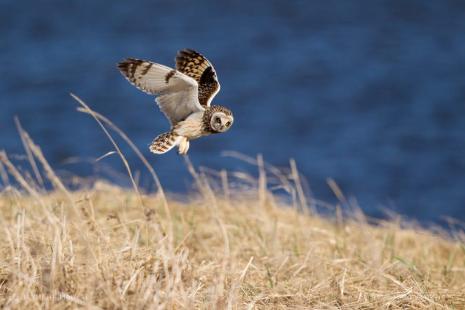 Jaymi-Heimbuch-FNP-8