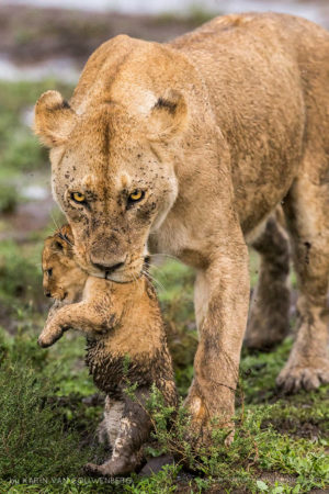Mummy, what are you doing?