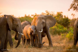 Kerry-de-Bruyn-FNP-1