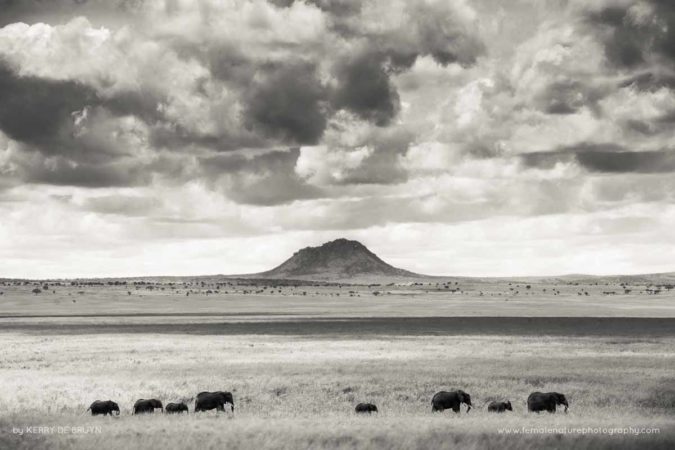 Kerry-de-Bruyn-FNP-11