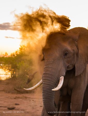 Kerry-de-Bruyn-FNP-14