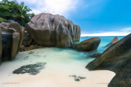 Kerry-de-Bruyn-FNP-2