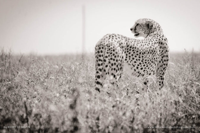 Kerry-de-Bruyn-FNP-5