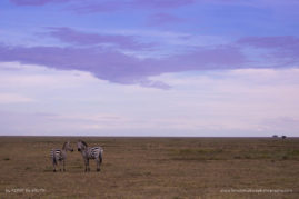 Kerry-de-Bruyn-FNP-9