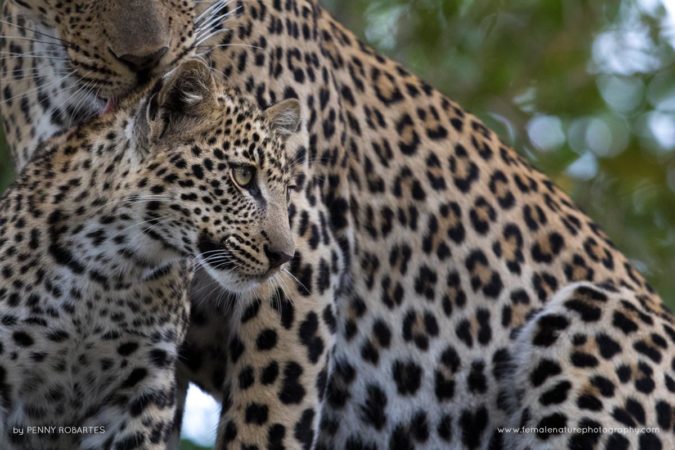 Penny-Robartes-FNP-9