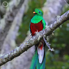 Portfolio carousel 56