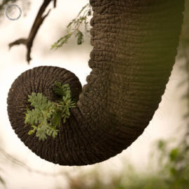 Portfolio carousel 70