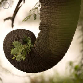 Portfolio carousel 70