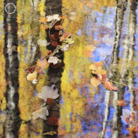 Portfolio carousel Beata