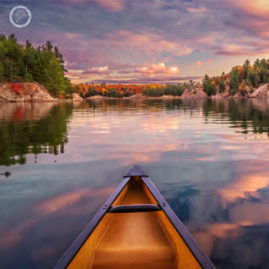 Portfolio carousel Tracy