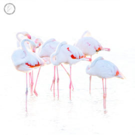 Portfolio carousel Nathalie