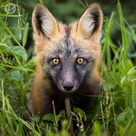 Portfolio carousel Brittany